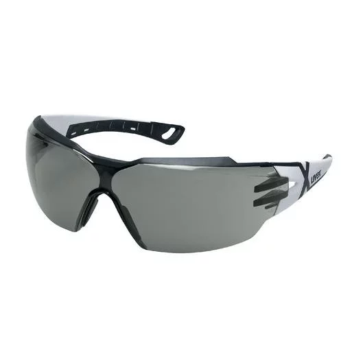 Uvex Pheos CX2 Spectacles - 9198237